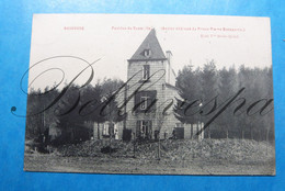 Nassogne  Pavillon Du Beau - Site . Ancien Château Du Prince Pierre Bonaparte 1908 - Ellezelles