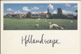 Delcampe - MARKEN, Waterland - Hollandscape - Marken