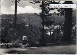 Delcampe - SPEZZANO DELLA SILA - Catanzaro