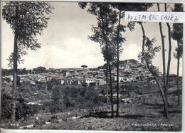 Delcampe - VIBO VALENTIA (2) - Catanzaro