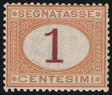 1870 1 C. Ocra E Carminio Sass 3 Centratissimo MNH** - Postage Due