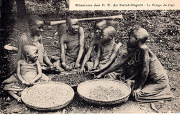 Delcampe - ENFANTS  LE TRIAGE DU CAFE -  MISSIONS DES PP  DU SAINT ESPRIT - Missionen