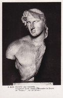 Delcampe - 75, Paris, Musée Du Louvre, Fragment D'une Statue D'Alexandre Le Grand - Louvre