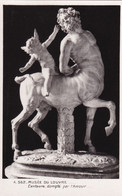 Delcampe - 75, Paris, Musée Du Louvre, Centaure Dompté Par L'Amour - Louvre