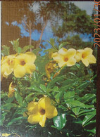 Delcampe - Petit Calendrier De Poche 1991 Fleur - Coiffeur Coiffure Faucogney  Haute Saône - Petit Format : 1991-00