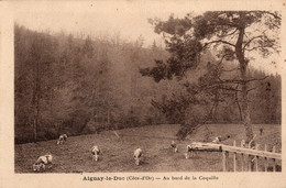Delcampe - - 21 - AIGNAY-le-DUC (Côte-d'Or) - Au Bord De La Coquille - Scan Verso - - Aignay Le Duc