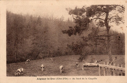 - 21 - AIGNAY-le-DUC (Côte-d'Or) - Au Bord De La Coquille - Scan Verso - - Aignay Le Duc