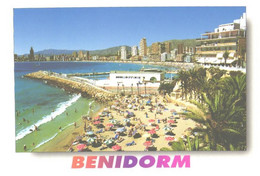 Delcampe - Spain:Benidorm, Beach Of Mal Pas And Harbour - Alicante
