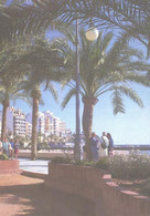 Delcampe - Spain:Benidorm, Elche Park - Alicante