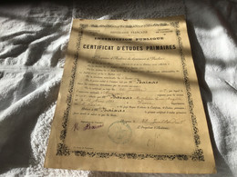 Certificat D Etudes Primaires Instruction Publique Académie De Aix Vaucluse Vienne Avignon 1905 - Diploma & School Reports