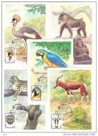 Russia USSR 1984 MC X5 Fauna Maximum Cards Birds Monkey Moscow Zoo 120th Anniv. - Maximum Cards