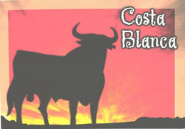 Delcampe - Spain:Costa Blanca, Ox At Sunset - Alicante