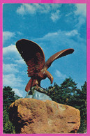 Delcampe - 287645 / Russia - Kislovodsk - Eagle Fighting A Snake Red Rock , Sanatorium "Krasnyye Kamni" Red Stones  PC 1971 USSR - Monumentos