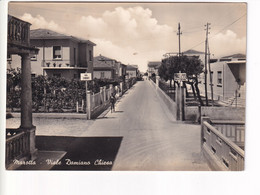 Delcampe - MAROTTA VIALE DAMIANO CHIESA - Pesaro
