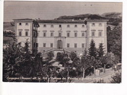 Delcampe - CARPEGNA PALAZZO DEI PRINCIPI - Pesaro