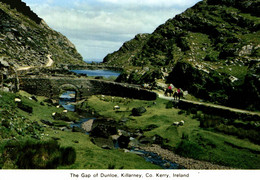 Delcampe - IRLANDE IRELAND KILLARNEY THE GAP OF DUNLOE - Kerry