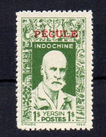 !!! FISCAL D'INDOCHINE PECULE N°24 NEUF TOUJOURS SANS GOMME - Other & Unclassified