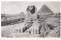 Le Caire.  The Excavated Sphinx  Carte Photo Lehnert & Landrock 1930 Vierge Et Impeccable. - Caïro