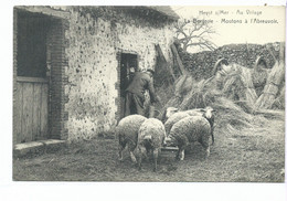 Delcampe - Heist Heyst-sur-Mer Au Village. La Bergerie. Moutons à L'Abreuvoir - Heist