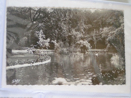 Delcampe - LUCON  JARDIN DUMAINE - Lucon