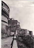 Delcampe - SAN LEO - Pesaro