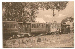 Delcampe - ROSSIGNOL - Arrivée Du Tram Marbehan Ste-Cécile. - Habay