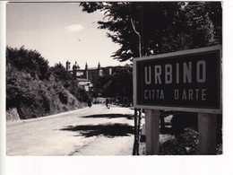 URBINO - Urbino