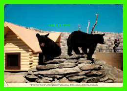 EDMONTON, ALBERTA - THE TWO BEARS, STORYLAND VALLEY ZOO - MAJESTIC POST CARD - PHOTO J. R. SUTTON - - Edmonton