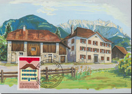 1990 Liechtenstein MC 93 Mi: LI 984°, Y&T: LI 925°, ZNr. LI 934°, Europa, Postexposition Nendeln - Cartas & Documentos