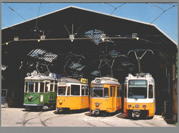 CPM - Suisse - Genève - Dépôt De La Jonction Motrice 67, 718, 798 Et 741 - Strassenbahnen