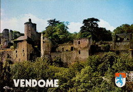 Delcampe - VENDOME     ( LOIR ET CHER )     LES RUINES  DU CHATEAU DES COMTES - Vendome