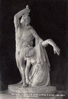 CARTOLINA  ROMA,LAZIO,MUSEO NAZIONALE ROMANO-IL GALLO CHE UCCISA LA SPOSA SI UCCIDE-ARTE GRECA,MEMORIA,NON VIAGGIATA - Musei