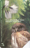 TARJETA DE ITALIA DE UN BUHO (OWL-CHOUETTE) - Other & Unclassified