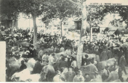 Delcampe - 48 - Lozère - Mende - Une Foire Aux Bestiaux - Mende