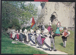 Delcampe - 61 - Domfront - Groupe Folklorique "le Trou Normand" - Domfront