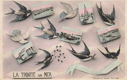 La Trinité Sur Mer * Souvenir Du Village 1908 - La Trinite Sur Mer