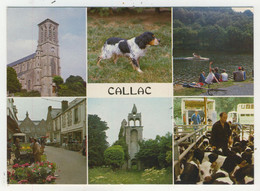 22 - Callac  -  Multivues - Callac