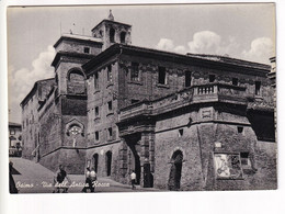 Delcampe - OSIMO VIA DELL'ANTICA ROCCA - Ancona