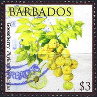 BARBADOS 2011 Gooseberry  $3 Used - Barbados (1966-...)