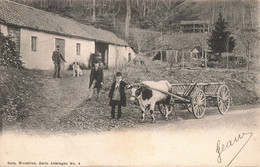 Belgique - Bruxelles -  Série Attelage N° 4 - Edit. Nels - Animé - Vache - Carte Postale Ancienne - Bruxelles-ville