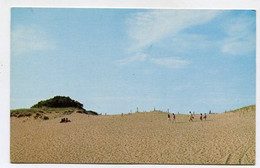 Delcampe - AK 110919 USA - Massachusetts - Cape Cod - Dunes - Cape Cod