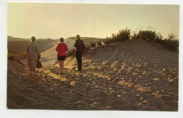 Delcampe - AK 110920 USA - Massachusetts - Cape Cod -twighlight On The Dunes - Cape Cod