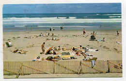 Delcampe - AK 110923 USA - Massachusetts - Cape Cod - A Day At The Beach - Cape Cod