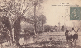 Delcampe - CPA (91) ARPAJON Cours D Eau Se Jetant Dans L Orge (etat Parfait) - Arpajon