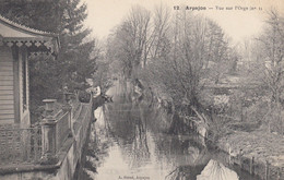 Delcampe - CPA (91) ARPAJON  Vue  L Orge (etat Parfait) - Arpajon