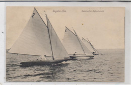Delcampe - 1000 BERLIN - SCHMÖCKWITZ, Tegeler See / Seddin-See Schmöckwitz, Segelregatta, Verlag O'Brien - Schmöckwitz