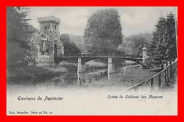 Delcampe - CPA PEPINSTER Aux Environs (Belgique) Entrée Du Château Des Mazures..*17569 - Pepinster