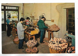 Delcampe - Cogolin - Fabrique De Pipes - Cogolin