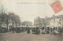 Delcampe - CPA 44 Loire Atlantique > ANCENIS La Place Du Marché - Ancenis