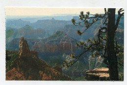 AK 111006 USA - Arizona - Grand Canyon - Lake Powell